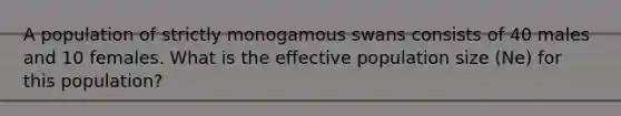 A population of strictly monogamous swans consists of 40 males and 10 females. What is the effective population size (Ne) for this population?