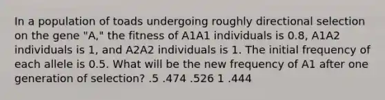 In a population of toads undergoing roughly directional selection on the gene "A," the fitness of A1A1 individuals is 0.8, A1A2 individuals is 1, and A2A2 individuals is 1. The initial frequency of each allele is 0.5. What will be the new frequency of A1 after one generation of selection? .5 .474 .526 1 .444