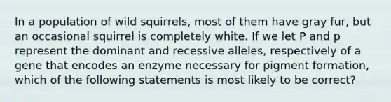 In a population of wild squirrels, most of them have gray fur, but an occasional squirrel is completely white. If we let P and p represent the dominant and recessive alleles, respectively of a gene that encodes an enzyme necessary for pigment formation, which of the following statements is most likely to be correct?