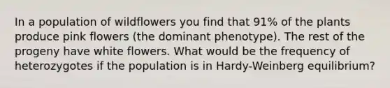 In a population of wildflowers you find that 91% of the plants produce pink flowers (the dominant phenotype). The rest of the progeny have white flowers. What would be the frequency of heterozygotes if the population is in Hardy-Weinberg equilibrium?