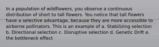 In a population of wildflowers, you observe a continuous distribution of short to tall flowers. You notice that tall flowers have a selective advantage, because they are more accessible to airborne pollinators. This is an example of a. Stabilizing selection b. Directional selection c. Disruptive selection d. Genetic Drift e. the bottleneck effect