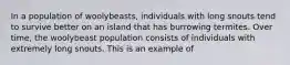 In a population of woolybeasts, individuals with long snouts tend to survive better on an island that has burrowing termites. Over time, the woolybeast population consists of individuals with extremely long snouts. This is an example of