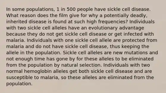 In some populations, 1 in 500 people have sickle cell disease. What reason does the film give for why a potentially deadly, inherited disease is found at such high frequencies? Individuals with two sickle cell alleles have an evolutionary advantage because they do not get sickle cell disease or get infected with malaria. Individuals with one sickle cell allele are protected from malaria and do not have sickle cell disease, thus keeping the allele in the population. Sickle cell alleles are new mutations and not enough time has gone by for these alleles to be eliminated from the population by natural selection. Individuals with two normal hemoglobin alleles get both sickle cell disease and are susceptible to malaria, so these alleles are eliminated from the population.