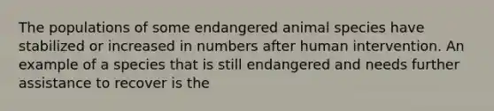 The populations of some endangered animal species have stabilized or increased in numbers after human intervention. An example of a species that is still endangered and needs further assistance to recover is the