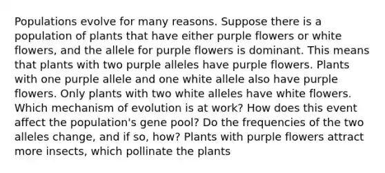 Populations evolve for many reasons. Suppose there is a population of plants that have either purple flowers or white flowers, and the allele for purple flowers is dominant. This means that plants with two purple alleles have purple flowers. Plants with one purple allele and one white allele also have purple flowers. Only plants with two white alleles have white flowers. Which mechanism of evolution is at work? How does this event affect the population's gene pool? Do the frequencies of the two alleles change, and if so, how? Plants with purple flowers attract more insects, which pollinate the plants