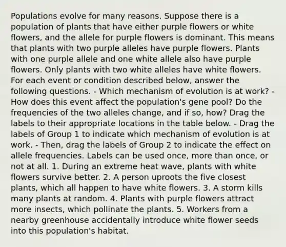 Populations evolve for many reasons. Suppose there is a population of plants that have either purple flowers or white flowers, and the allele for purple flowers is dominant. This means that plants with two purple alleles have purple flowers. Plants with one purple allele and one white allele also have purple flowers. Only plants with two white alleles have white flowers. For each event or condition described below, answer the following questions. - Which mechanism of evolution is at work? - How does this event affect the population's gene pool? Do the frequencies of the two alleles change, and if so, how? Drag the labels to their appropriate locations in the table below. - Drag the labels of Group 1 to indicate which mechanism of evolution is at work. - Then, drag the labels of Group 2 to indicate the effect on allele frequencies. Labels can be used once, more than once, or not at all. 1. During an extreme heat wave, plants with white flowers survive better. 2. A person uproots the five closest plants, which all happen to have white flowers. 3. A storm kills many plants at random. 4. Plants with purple flowers attract more insects, which pollinate the plants. 5. Workers from a nearby greenhouse accidentally introduce white flower seeds into this population's habitat.