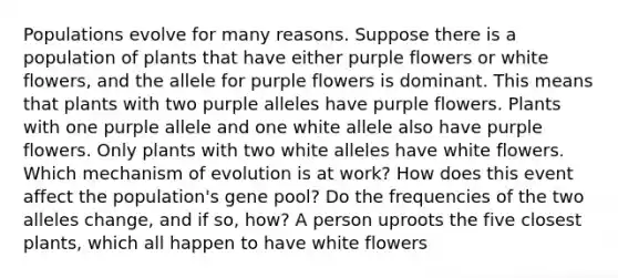 Populations evolve for many reasons. Suppose there is a population of plants that have either purple flowers or white flowers, and the allele for purple flowers is dominant. This means that plants with two purple alleles have purple flowers. Plants with one purple allele and one white allele also have purple flowers. Only plants with two white alleles have white flowers. Which mechanism of evolution is at work? How does this event affect the population's gene pool? Do the frequencies of the two alleles change, and if so, how? A person uproots the five closest plants, which all happen to have white flowers