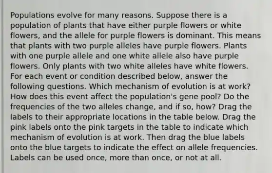 Populations evolve for many reasons. Suppose there is a population of plants that have either purple flowers or white flowers, and the allele for purple flowers is dominant. This means that plants with two purple alleles have purple flowers. Plants with one purple allele and one white allele also have purple flowers. Only plants with two white alleles have white flowers. For each event or condition described below, answer the following questions. Which mechanism of evolution is at work? How does this event affect the population's gene pool? Do the frequencies of the two alleles change, and if so, how? Drag the labels to their appropriate locations in the table below. Drag the pink labels onto the pink targets in the table to indicate which mechanism of evolution is at work. Then drag the blue labels onto the blue targets to indicate the effect on allele frequencies. Labels can be used once, more than once, or not at all.