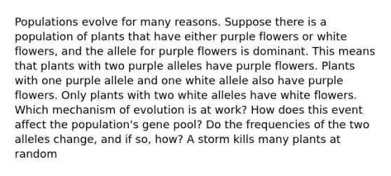 Populations evolve for many reasons. Suppose there is a population of plants that have either purple flowers or white flowers, and the allele for purple flowers is dominant. This means that plants with two purple alleles have purple flowers. Plants with one purple allele and one white allele also have purple flowers. Only plants with two white alleles have white flowers. Which mechanism of evolution is at work? How does this event affect the population's gene pool? Do the frequencies of the two alleles change, and if so, how? A storm kills many plants at random