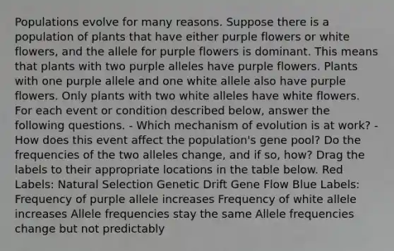 Populations evolve for many reasons. Suppose there is a population of plants that have either purple flowers or white flowers, and the allele for purple flowers is dominant. This means that plants with two purple alleles have purple flowers. Plants with one purple allele and one white allele also have purple flowers. Only plants with two white alleles have white flowers. For each event or condition described below, answer the following questions. - Which mechanism of evolution is at work? - How does this event affect the population's gene pool? Do the frequencies of the two alleles change, and if so, how? Drag the labels to their appropriate locations in the table below. Red Labels: Natural Selection Genetic Drift Gene Flow Blue Labels: Frequency of purple allele increases Frequency of white allele increases Allele frequencies stay the same Allele frequencies change but not predictably