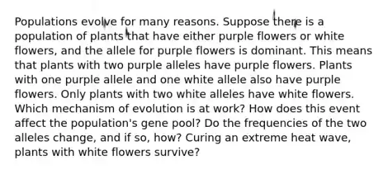 Populations evolve for many reasons. Suppose there is a population of plants that have either purple flowers or white flowers, and the allele for purple flowers is dominant. This means that plants with two purple alleles have purple flowers. Plants with one purple allele and one white allele also have purple flowers. Only plants with two white alleles have white flowers. Which mechanism of evolution is at work? How does this event affect the population's gene pool? Do the frequencies of the two alleles change, and if so, how? Curing an extreme heat wave, plants with white flowers survive?