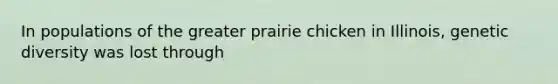 In populations of the greater prairie chicken in Illinois, genetic diversity was lost through