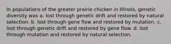 In populations of the greater prairie chicken in Illinois, genetic diversity was a. lost through genetic drift and restored by <a href='https://www.questionai.com/knowledge/kAcbTwWr3l-natural-selection' class='anchor-knowledge'>natural selection</a>. b. lost through gene flow and restored by mutation. c. lost through genetic drift and restored by gene flow. d. lost through mutation and restored by natural selection.