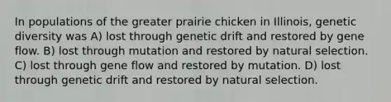 In populations of the greater prairie chicken in Illinois, genetic diversity was A) lost through genetic drift and restored by gene flow. B) lost through mutation and restored by natural selection. C) lost through gene flow and restored by mutation. D) lost through genetic drift and restored by natural selection.