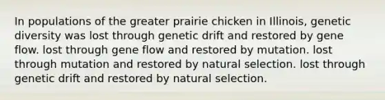 In populations of the greater prairie chicken in Illinois, genetic diversity was lost through genetic drift and restored by gene flow. lost through gene flow and restored by mutation. lost through mutation and restored by natural selection. lost through genetic drift and restored by natural selection.