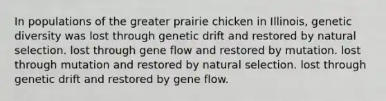 In populations of the greater prairie chicken in Illinois, genetic diversity was lost through genetic drift and restored by natural selection. lost through gene flow and restored by mutation. lost through mutation and restored by natural selection. lost through genetic drift and restored by gene flow.