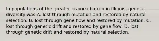 In populations of the greater prairie chicken in Illinois, genetic diversity was A. lost through mutation and restored by natural selection. B. lost through gene flow and restored by mutation. C. lost through genetic drift and restored by gene flow. D. lost through genetic drift and restored by natural selection.