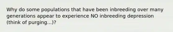 Why do some populations that have been inbreeding over many generations appear to experience NO inbreeding depression (think of purging...)?