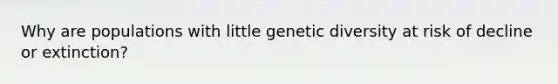 Why are populations with little genetic diversity at risk of decline or extinction?