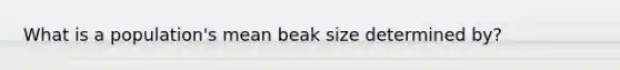 What is a population's mean beak size determined by?