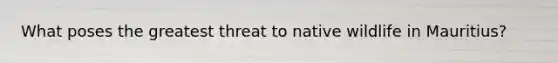What poses the greatest threat to native wildlife in Mauritius?
