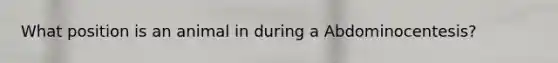 What position is an animal in during a Abdominocentesis?