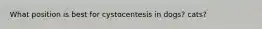 What position is best for cystocentesis in dogs? cats?