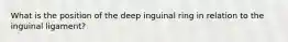 What is the position of the deep inguinal ring in relation to the inguinal ligament?