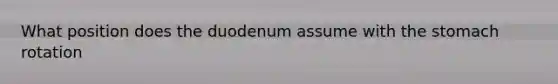 What position does the duodenum assume with the stomach rotation