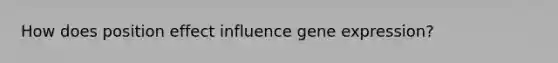 How does position effect influence gene expression?