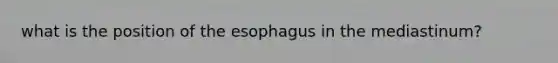 what is the position of the esophagus in the mediastinum?