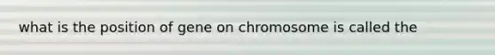 what is the position of gene on chromosome is called the