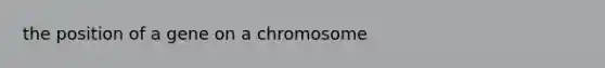 the position of a gene on a chromosome