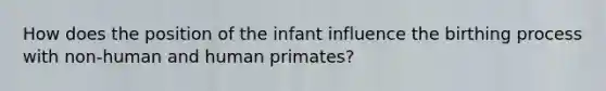 How does the position of the infant influence the birthing process with non-human and human primates?