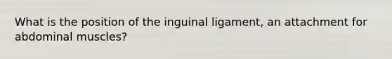 What is the position of the inguinal ligament, an attachment for abdominal muscles?