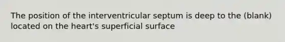 The position of the interventricular septum is deep to the (blank) located on the heart's superficial surface