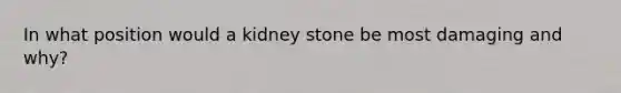 In what position would a kidney stone be most damaging and why?