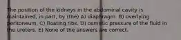 The position of the kidneys in the abdominal cavity is maintained, in part, by (the) A) diaphragm. B) overlying peritoneum. C) floating ribs. D) osmotic pressure of the fluid in the ureters. E) None of the answers are correct.