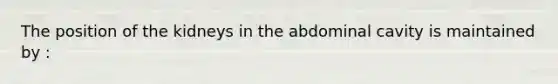 The position of the kidneys in the abdominal cavity is maintained by :