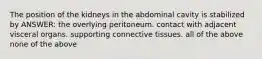 The position of the kidneys in the abdominal cavity is stabilized by ANSWER: the overlying peritoneum. contact with adjacent visceral organs. supporting connective tissues. all of the above none of the above