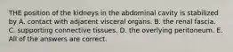 THE position of the kidneys in the abdominal cavity is stabilized by A. contact with adjacent visceral organs. B. the renal fascia. C. supporting connective tissues. D. the overlying peritoneum. E. All of the answers are correct.