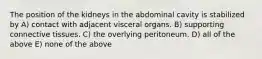 The position of the kidneys in the abdominal cavity is stabilized by A) contact with adjacent visceral organs. B) supporting connective tissues. C) the overlying peritoneum. D) all of the above E) none of the above