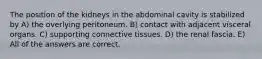 The position of the kidneys in the abdominal cavity is stabilized by A) the overlying peritoneum. B) contact with adjacent visceral organs. C) supporting connective tissues. D) the renal fascia. E) All of the answers are correct.