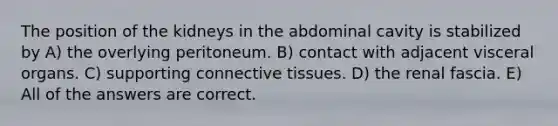 The position of the kidneys in the abdominal cavity is stabilized by A) the overlying peritoneum. B) contact with adjacent visceral organs. C) supporting connective tissues. D) the renal fascia. E) All of the answers are correct.