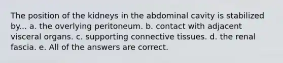 The position of the kidneys in the abdominal cavity is stabilized by... a. the overlying peritoneum. b. contact with adjacent visceral organs. c. supporting connective tissues. d. the renal fascia. e. All of the answers are correct.