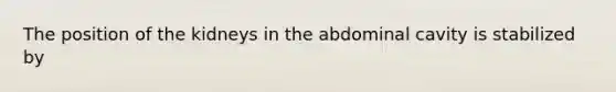 The position of the kidneys in the abdominal cavity is stabilized by