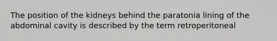 The position of the kidneys behind the paratonia lining of the abdominal cavity is described by the term retroperitoneal