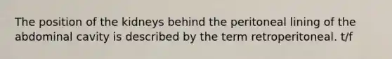 The position of the kidneys behind the peritoneal lining of the abdominal cavity is described by the term retroperitoneal. t/f