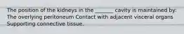 The position of the kidneys in the _______ cavity is maintained by: The overlying peritoneum Contact with adjacent visceral organs Supporting connective tissue.