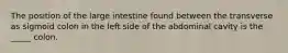 The position of the large intestine found between the transverse as sigmoid colon in the left side of the abdominal cavity is the _____ colon.